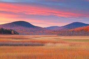 Autumnal Sunrise over a Marsh photo