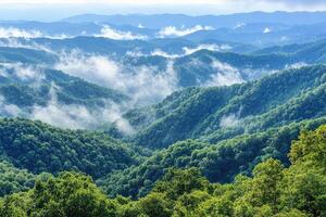 Misty mountain range. Lush green forests and valleys blanketed in morning mist photo