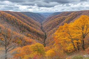 Autumnal valley vista photo