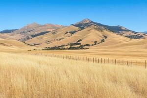 Golden valley with distant mountains photo