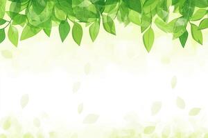 Fresh green leaves border photo