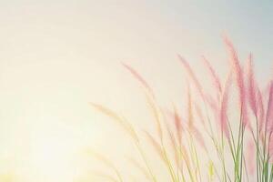Soft pink grass against a pastel sky photo