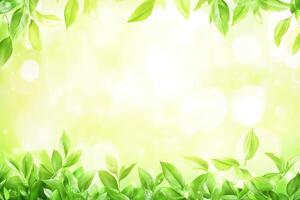 Fresh green leaves frame, soft sunlight photo