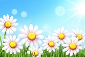 Delicate daisies in a sunlit meadow photo