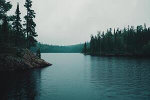 Tranquil lake surrounded by misty forest photo