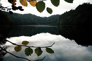 Serene lake reflecting autumnal landscape photo