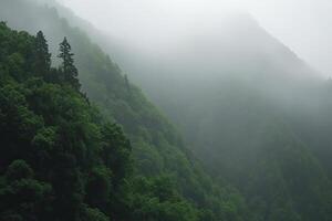 Misty mountain range covered in lush green forest photo