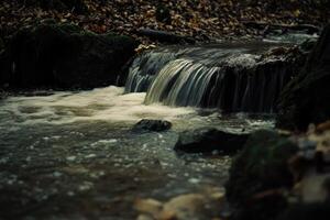 A small waterfall cascading over rocks in a woodland stream. Fallen leaves and moss cover the ground around the water photo