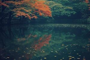 Autumnal Reflection in a Pond photo