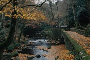 Autumnal forest path with a mossy stone bridge over a flowing stream. Fallen leaves carpet the ground, contrasting with the vibrant autumnal foliage above photo