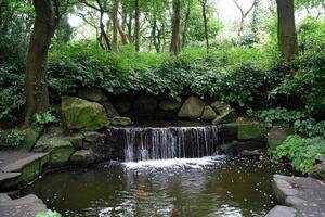A tranquil garden waterfall photo