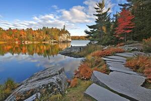 Autumn Lakeside Path photo