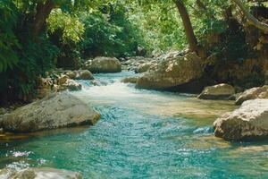 Crystal clear stream flowing amidst rocks and lush foliage photo