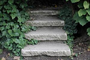 Stone steps leading through greenery photo