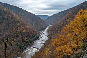 Autumnal river gorge, vibrant fall foliage photo
