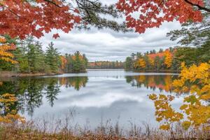 Autumnal lake framed by vibrant foliage. A serene autumn scene with a still lake reflecting the colorful autumn trees. Crisp fall colors of orange, red, and yellow surround the calm water. Clouds drift above the tranquil scene photo