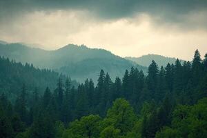Misty Mountain Range photo