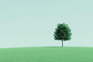 Solitary tree on a grassy hill against a pale sky photo