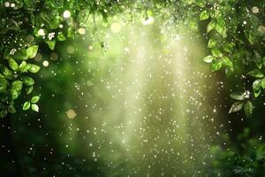 Lush forest, vibrant greenery, illuminated by sunlight photo