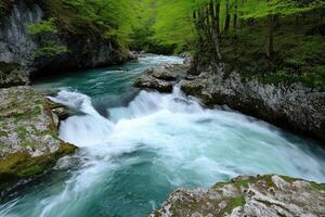 Mountain river cascading over rocks. Lush forest surrounds photo