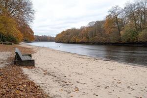 Autumnal riverbank scene photo