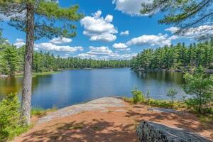 Tranquil lake vista framed by pine trees under a partly cloudy sky photo