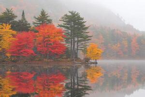 Misty autumn lake with vibrant foliage photo