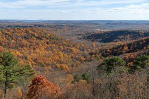 Autumnal valley vista. A high-elevation panorama of a valley, vibrant with fall colors. Dense forests transition through shades of red, orange, and yellow photo