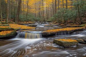 Autumnal creek cascading through a forest photo