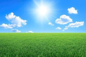 Vast field of vibrant green grass under a brilliant blue sky with scattered puffy clouds and a prominent sun photo