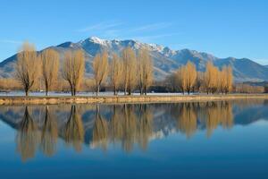 A lake with trees and mountains reflected in it photo