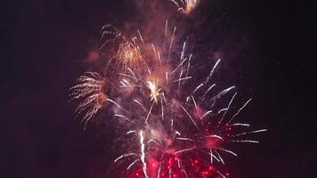 big beautiful colorful festive fireworks display at the celebration of pyrotechnic show in the night sky video