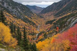 A valley with colorful trees and mountains in the fall photo