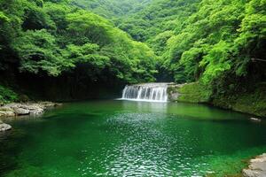 Lush waterfall cascading into a serene emerald pool nestled within a dense, verdant forest photo