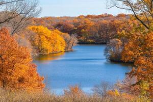 Autumnal lake scene with vibrant fall foliage photo