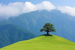 Solitary tree atop grassy hill, mountain backdrop photo