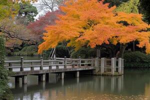 Autumnal Bridge over a Pond photo