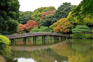 Autumnal park scene with a wooden bridge over a calm pond. Lush greenery and colorful foliage surround the tranquil water, reflecting in the still surface photo