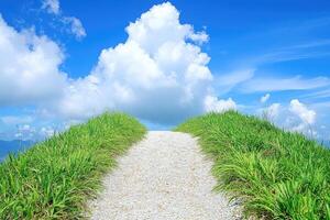 Path to a bright future photo
