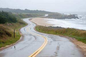 Coastal Road in the Mist photo