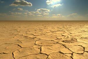 Vast, cracked earth under a bright sky photo