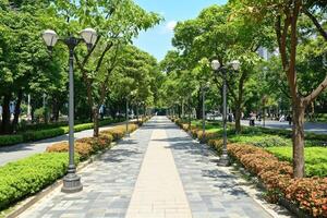 Park path lined with trees and landscaping photo