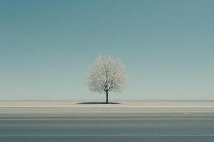 Solitary Tree on Empty Road photo