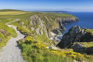 Coastal path winding along dramatic cliffs photo