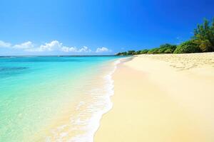 Pristine beach scene under a clear sky. Tranquil turquoise water meets a pristine sandy shore, bordered by lush green vegetation photo