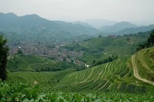 Lush terraced fields descend into a valley with a village nestled amongst the hills photo