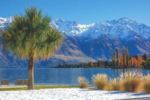 Snowy Lakeside View with Palm Tree and Mountains photo