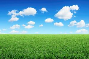 Vast green field under a clear blue sky photo