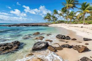 Tropical beach paradise. Crystal clear water laps against dark volcanic rocks on a pristine white sand beach lined with swaying palm trees under a vibrant blue sky photo