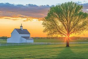 Sunrise over a white barn and tree photo